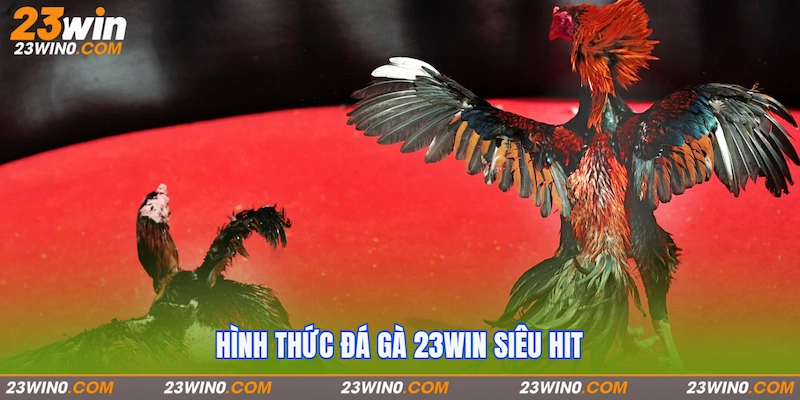 Hình thức Đá gà 23Win siêu hot hit